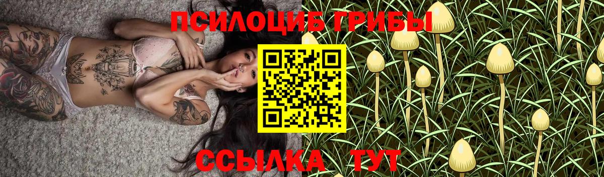 Галлюциногенные грибы Psilocybine cubensis  Вход с VPN  Шадринск 